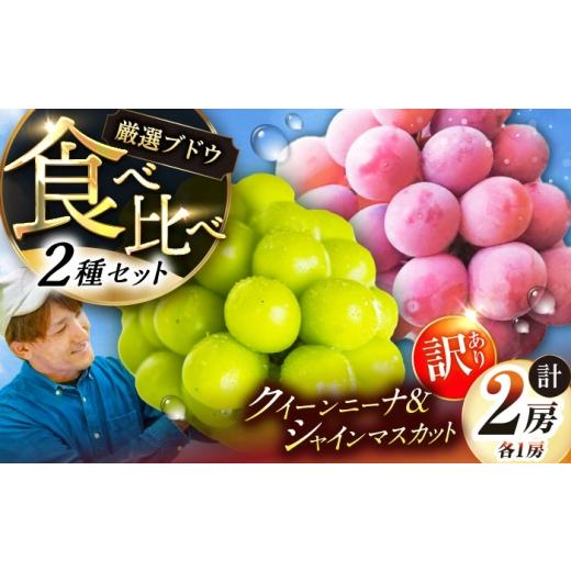 ふるさと納税 ぶどう マスカット 島根県 雲南市 先行予約:2026年8月中旬より発送 ご自宅用 人気の2品種を食べ比べ シャインマスカット 1房 クイーンニーナ 1…