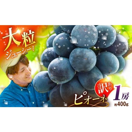 ふるさと納税 果物類 ぶどう 島根県 雲南市 先行予約:2026年8月中旬より発送 ご自宅用 旬の味わいを農家直送で ピオーネ 1房(約400g)簡易包装 訳あり 1万…