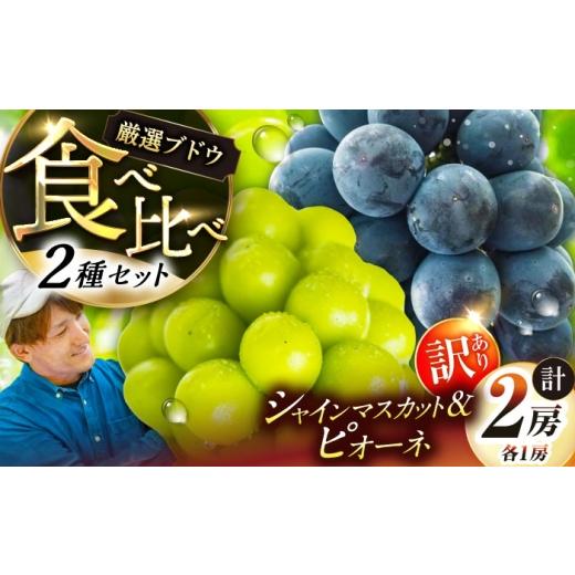 ふるさと納税 ぶどう マスカット 島根県 雲南市 先行予約:2026年8月中旬より発送 ご自宅用 農家直送の2品種を食べ比べ シャインマスカット 1房 ピオーネ 1房…