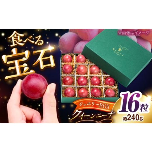 ふるさと納税 果物類 ぶどう 島根県 雲南市 先行予約:2026年8月中旬より発送 数量限定 贈り物におすすめ クイーンニーナ・ジュエリーBOX 16粒(約240g) ぶど…