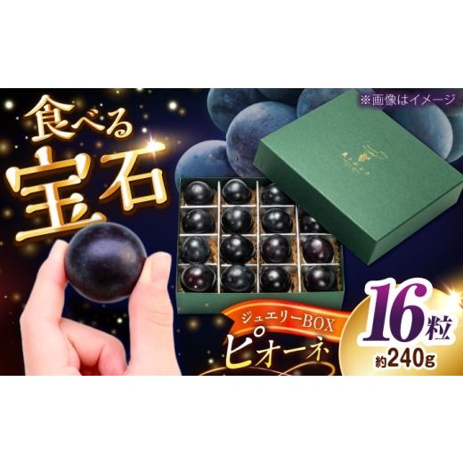 ふるさと納税 果物類 ぶどう 島根県 雲南市 先行予約:2026年8月下旬より発送 数量限定 贈り物におすすめ ピオーネ・ジュエリーBOX 16粒(約240g) ぶどう ブド…
