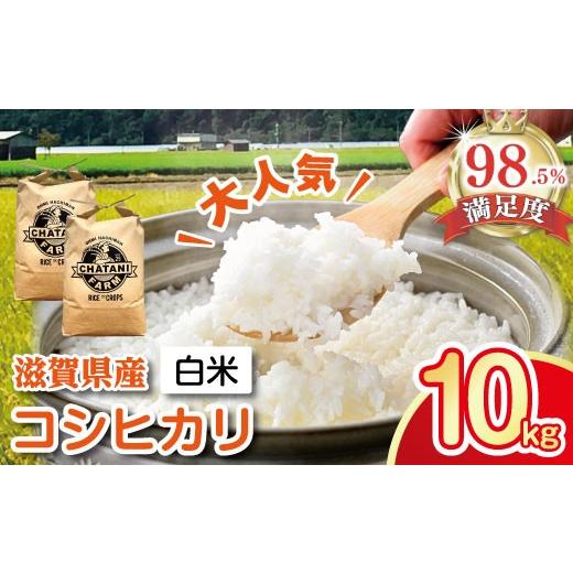 ふるさと納税 米 コシヒカリ 滋賀県 近江八幡市 令和7年産 コシヒカリ 白米 10kg V012W1 5kg 10kg 米 こしひかり コシヒカリ おこめ 贈り物 人気米 ご飯 白米 …