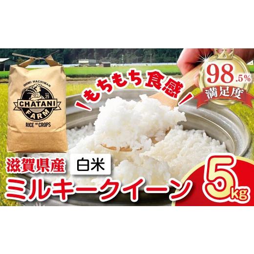 ふるさと納税 米 ミルキークイーン 滋賀県 近江八幡市 令和7年産 ミルキークイーン 白米 5kg V009W1 米 5kg 白米 みるきーくいーん 国産 農家直送 環境こだわ…