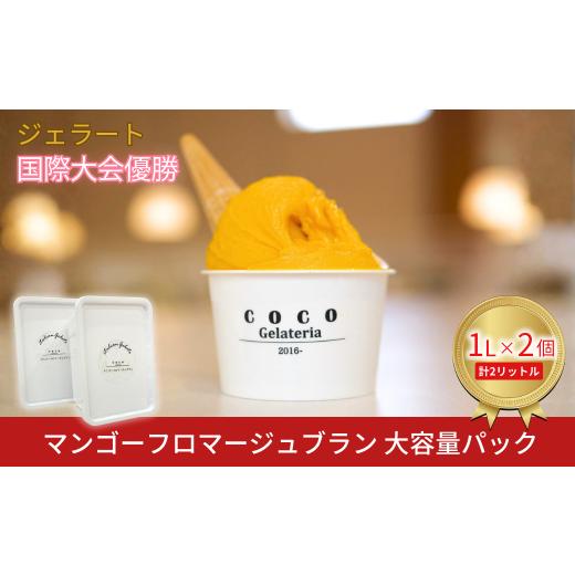 ふるさと納税 アイス・ヨーグルト ジェラート 新潟県 三条市 ジェラート国際大会優勝 マンゴーフロマージュブラン 大容量パック 1L×2個 ジェラート アイス …