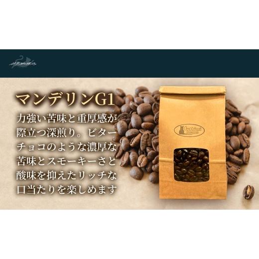 ふるさと納税 コーヒー コーヒー豆 福島県 福島市 No.3296 12回定期便 珈琲 マンテ゛リンG1 アラヒ゛カ種 スマトラ産 豆 深煎り 200g×3袋_2