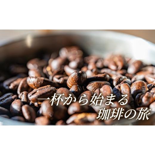 ふるさと納税 コーヒー コーヒー豆 福島県 福島市 No.3296 12回定期便 珈琲 マンテ゛リンG1 アラヒ゛カ種 スマトラ産 豆 深煎り 200g×3袋_3