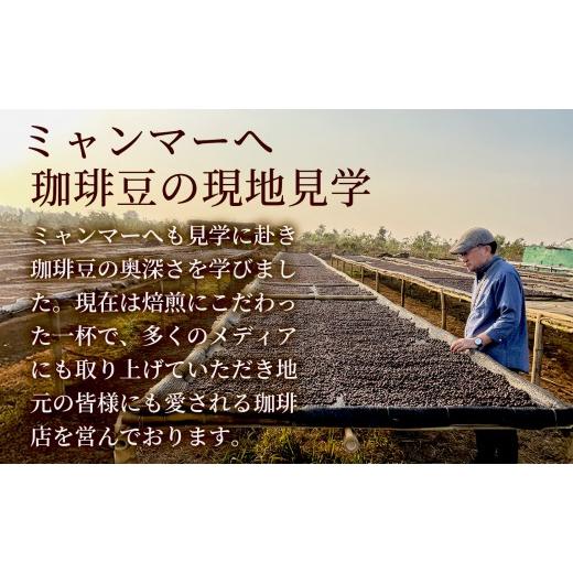 ふるさと納税 コーヒー コーヒー豆 福島県 福島市 No.3296 12回定期便 珈琲 マンテ゛リンG1 アラヒ゛カ種 スマトラ産 豆 深煎り 200g×3袋_5
