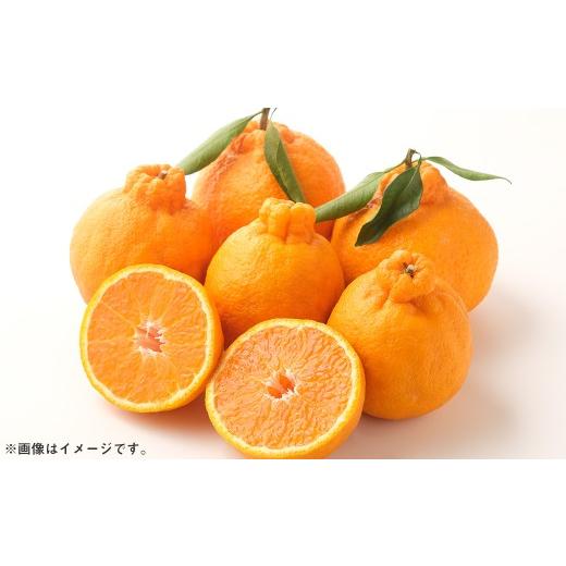 ふるさと納税 みかん・柑橘類 デコポン 佐賀県 太良町 峰農園の完熟デコ 3kg 2026年3月下旬〜4月上旬まで順次発送予定 デコポン でこぽん 不知火 柑橘 柑橘系 …