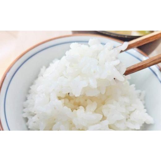 ふるさと納税 米 ヒノヒカリ 熊本県 熊本市 令和7年産 阿蘇五宮奉納米 5kg × 1袋 2026年10月下旬まで順次発送予定 阿蘇五宮 奉納米 自然 阿蘇の水源 化石サ…