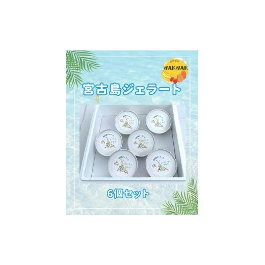 ふるさと納税 アイス・ヨーグルト ジェラート 沖縄県 宮古島市 宮古島産フルーツ使用 宮古島ジェラート 贅沢6種食べ比べセット(WK01)