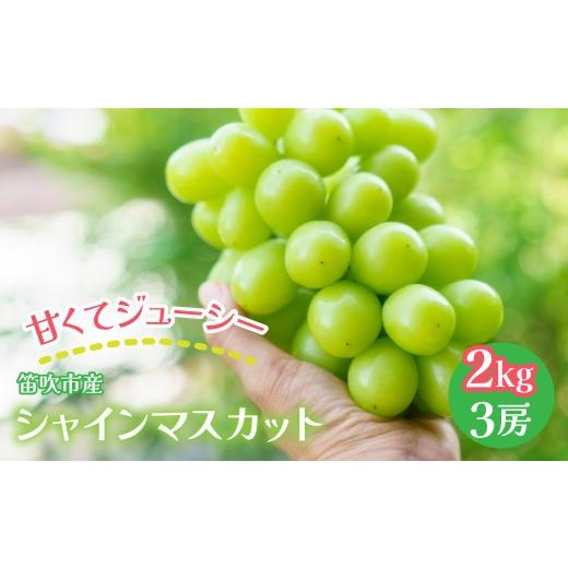 ふるさと納税 ぶどう マスカット 山梨県 笛吹市 2026年発送 先行予約 笛吹市産 シャインマスカット 2kg以上 (3房) 石倉ファーム 241-003 |ふるさと納税 …