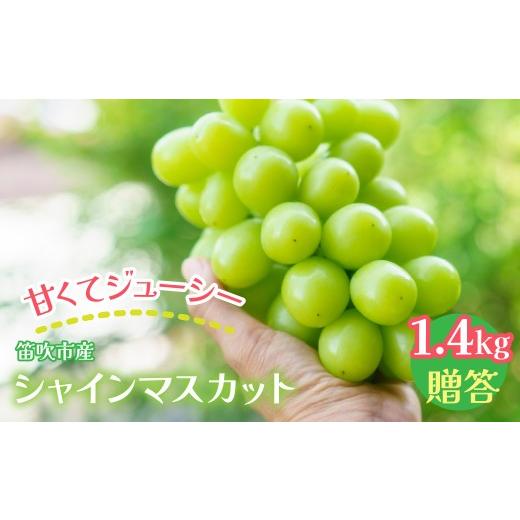ふるさと納税 ぶどう マスカット 山梨県 笛吹市 2026年発送 先行予約 笛吹市産 シャインマスカット1.4kg 贈答 石倉ファーム 241-004 |ふるさと納税 ぶどう…