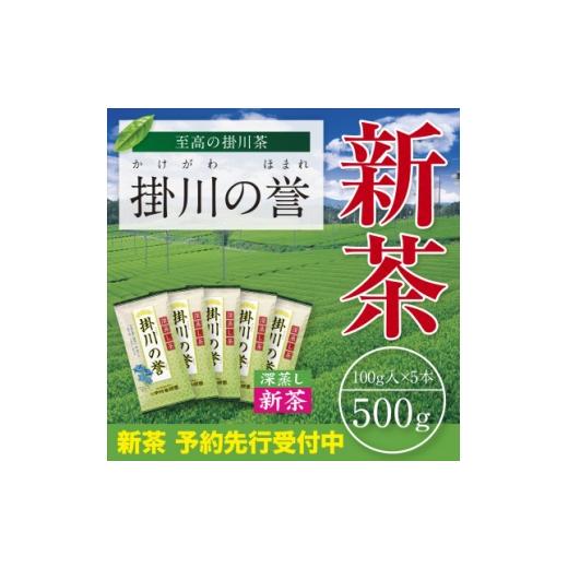 ふるさと納税 お茶類 静岡県 掛川市 新茶予約・令和8年度産 高級深蒸し掛川茶「掛川の誉」100g×5本セット 5月上旬頃〜発送 1721707