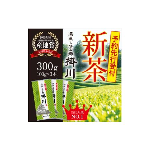 ふるさと納税 お茶類 静岡県 掛川市 <2026年新茶・先行受付>掛川茶「深蒸し茶の郷 掛川」100g×3本セット 5月上旬発送予定 1721738