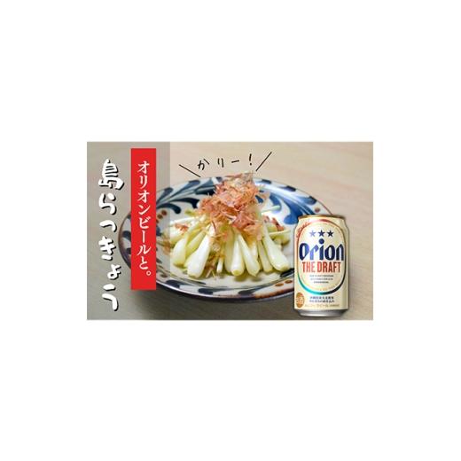 ふるさと納税 ビール 沖縄県 国頭村 ビール特産品セット オリオン ザ・ドラフト&amp;国頭村の島らっきょう 複数個口で配送 4014725