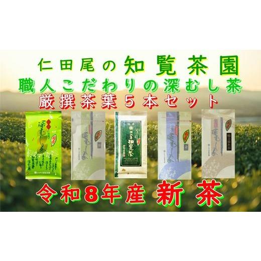 ふるさと納税 お茶類 鹿児島県 南九州市 令和8年産 新茶予約 贈答用 知覧茶園深むし茶 厳撰茶葉5本セット 1720608