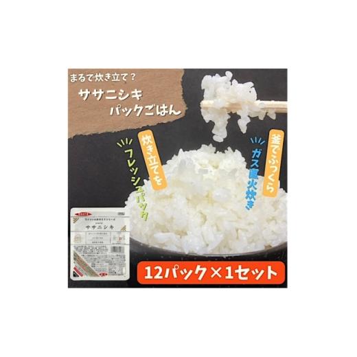 ふるさと納税 米 宮城県 色麻町 パックご飯 炊きたてをフレッシュパック　ササニシキ(白米)12個入 1722068