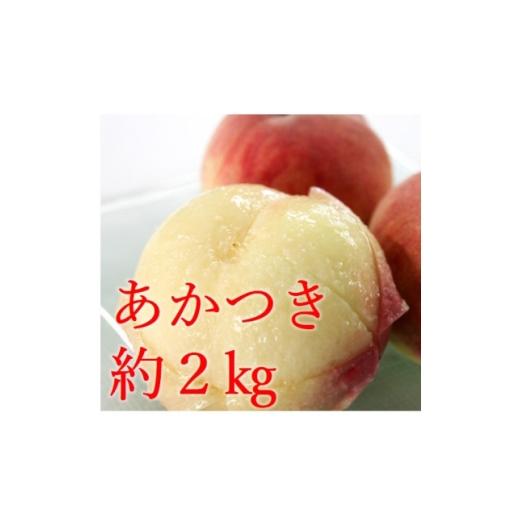 ふるさと納税 もも 長野県 中野市 白桃(あかつき)約2kg 1629687