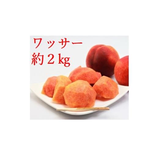 ふるさと納税 もも 長野県 中野市 ワッサー 約2kg 桃+ネクタリンの掛け合わせ 1629703