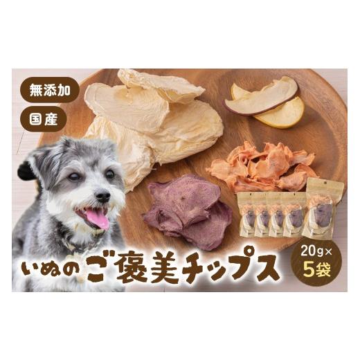 ふるさと納税 雑貨・日用品 北海道 留萌市 いぬのご褒美チップス20g×5袋 ペットフード 犬 無添加 ペットフード 犬 無添加 おやつ 美味しい ご褒美 ドッグフー…