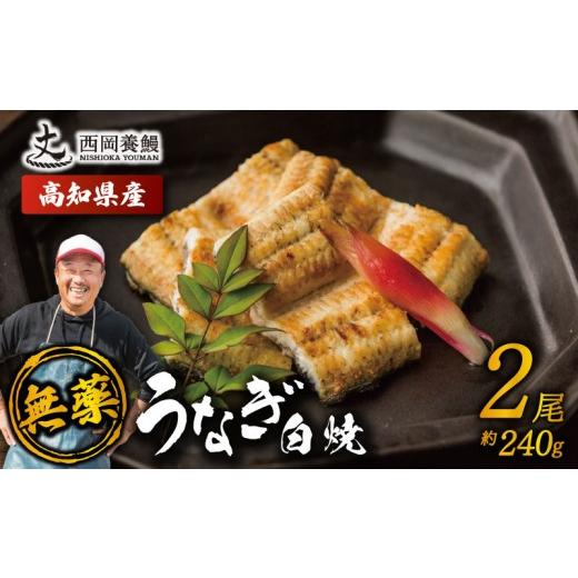 ふるさと納税 うなぎ 高知県 安芸市 完全無投薬 鰻白焼 国産 うなぎ白焼 240g ( 120g × 2尾 ) 鰻 厳選 無薬 うなぎ 白焼き 白やき 国産うなぎ 国産鰻 人気 鰻…