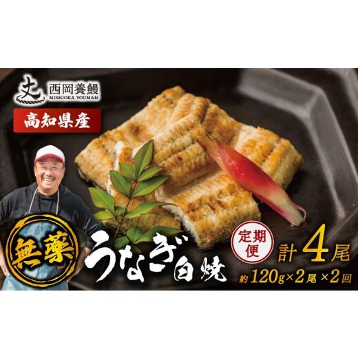 ふるさと納税 うなぎ 高知県 安芸市 完全無投薬 鰻白焼 国産 定期便 計4尾 ( 120g × 2尾 × 2回 ) うなぎ白焼 鰻 厳選 無薬 うなぎ 白焼き 白やき 国産うなぎ…