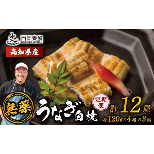 ふるさと納税 うなぎ 高知県 安芸市 完全無投薬 鰻白焼 国産 定期便 計12尾 ( 120g × 4尾 × 3回 ) うなぎ白焼 鰻 厳選 無薬 うなぎ 白焼き 白やき 国産うな…の画像