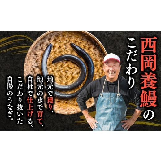 ふるさと納税 うなぎ 高知県 安芸市 完全無投薬 鰻白焼 国産 定期便 計12尾 ( 120g × 4尾 × 3回 ) うなぎ白焼 鰻 厳選 無薬 うなぎ 白焼き 白やき 国産うな…の画像