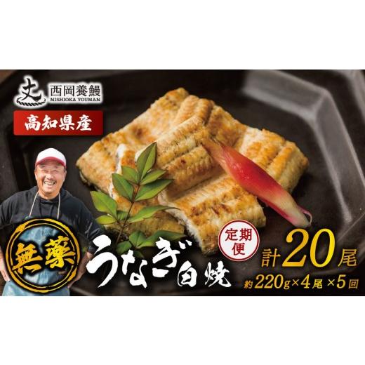 ふるさと納税 うなぎ 高知県 安芸市 完全無投薬 鰻白焼 国産 定期便 計20尾 ( 220g × 4尾 × 5回 ) うなぎ白焼 鰻 厳選 無薬 うなぎ 白焼き 白やき 国産うな…_1