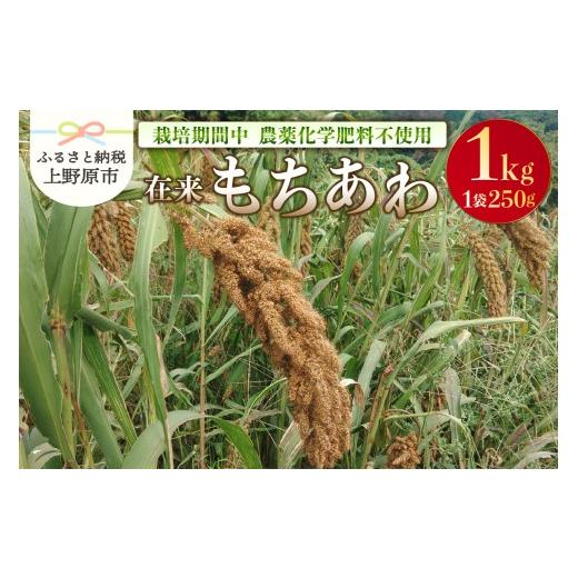 ふるさと納税 雑穀 山梨県 上野原市 上野原産 在来もちあわ1kg 〜栽培期間中農薬化学肥料不使用栽培 上野原の地形が作った雑穀の歴史〜