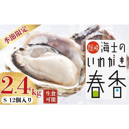 ふるさと納税 牡蠣 生牡蠣 島根県 海士町 真牡蠣より肉厚 いわがき春香 Sサイズ 12個|満足度LL級の極上岩牡蠣(生食可) 2026年 3月中旬以降順次お届け