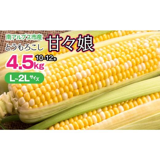 ふるさと納税 とうもろこし 山梨県 南アルプス市 2026月6月上旬~7月中旬 発送 みやび農園 山梨県産とうもろこし (甘々娘) ALPGD001 ふるさと納税 山梨県 南…