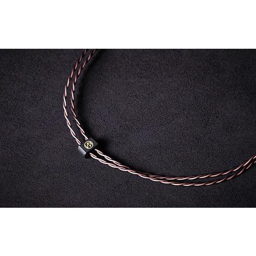 ふるさと納税 TV・オーディオ・カメラ 群馬県 玉村町 AKAGANE LE2 (4極2.5mm ストレート型 to Pentaconn Ear) 4極2.5mm ストレート型 to Pentaconn Earの画像
