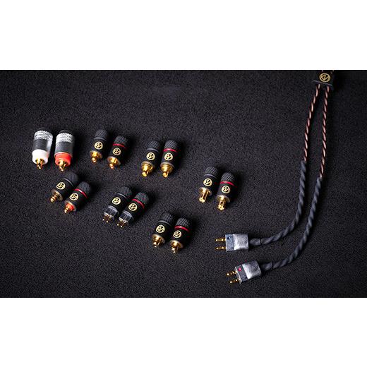 ふるさと納税 TV・オーディオ・カメラ 群馬県 玉村町 AKAGANE LE2 (5極4.4mm L型 to CIEM2pin) 5極4.4mm L型 to CIEM2pinの画像