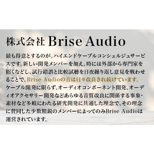 ふるさと納税 TV・オーディオ・カメラ 群馬県 玉村町 AKAGANE LE2 (5極4.4mm L型 to IPX) 5極4.4mm L型 to IPXの画像