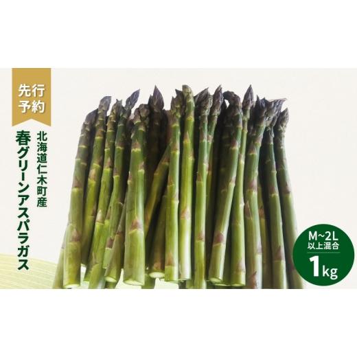 ふるさと納税 野菜類 アスパラガス 北海道 仁木町 先行受付 北海道 仁木町産 春グリーンアスパラ M〜2L以上混合 1kg アスパラ 野菜 新鮮 食材 春野菜 旬の野菜…
