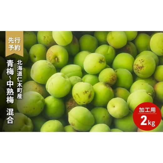 ふるさと納税 果物類 北海道 仁木町 先行受付 梅 2kg 青梅 中熟梅 加工用 梅干し 梅酒 梅ジュース フルーツ 果物 果物類 ギフト 贈答品 北海道 仁木町 仁木 古…