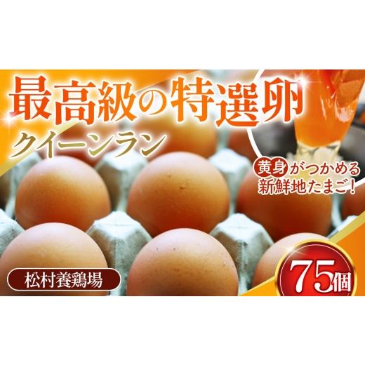ふるさと納税 卵(鶏、烏骨鶏等) 埼玉県 鴻巣市 黄身がつかめる新鮮地たまご クイーンラン 赤玉 75個入 / 卵 新鮮卵 卵かけご飯 TKG 濃厚卵 黄身 弾力卵 生…