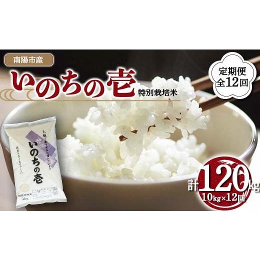 ふるさと納税 米 山形県 南陽市 金賞受賞農家 [定期便12回] 令和7年産 特別栽培米 いのちの壱 計10kg(5kg×2袋)×12か月 『あおきライスファーム』 山形南…