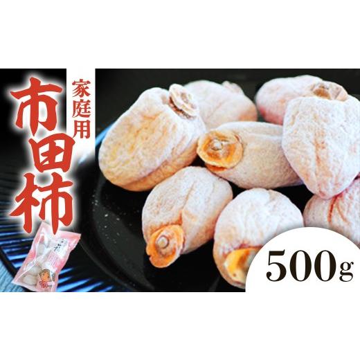 ふるさと納税 果物類 柿 長野県 豊丘村 2027年発送先行予約 市田柿 約500g ご家庭用 2027年1月中旬〜2月下旬頃発送予定 干し柿|かき|カキ|長野県産