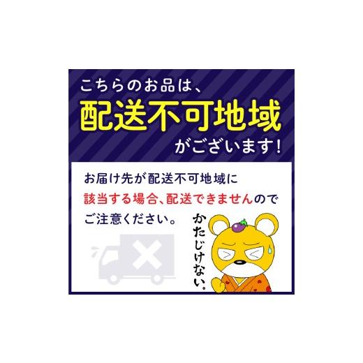 ふるさと納税 コーヒー 大阪府 泉南市  吉田珈琲本舗 カフェラテベース 加糖 12本 4ヶ月定期便 配送不可地域：北海道・沖縄・離島 010A-009の画像
