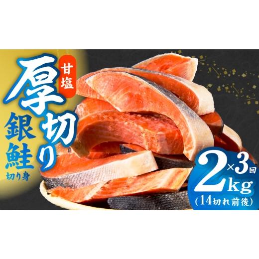 ふるさと納税 魚貝類 鮭 大阪府 泉佐野市 厚切り 銀鮭 切り身 定期便 総量 2kg×全3回 訳あり サイズ不揃い 毎月配送コース