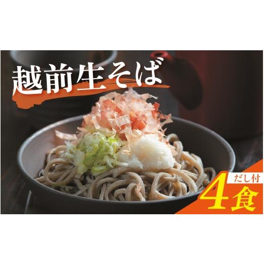 ふるさと納税 そば 生・半生めん 福井県 福井市 越前生そば 4食入(110g/1食)だし付 A-067004 / 越前そば 越前蕎麦 生蕎麦 なまそば 生そば そば 蕎麦 ソバ…