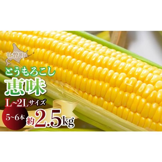ふるさと納税 とうもろこし 北海道 壮瞥町 2026年8月初旬よりお届け 約2.5kg 北海道壮瞥産とうもろこし(恵味) L〜2Lサイズ 5〜6本 ふるさと納税 人気 おす…