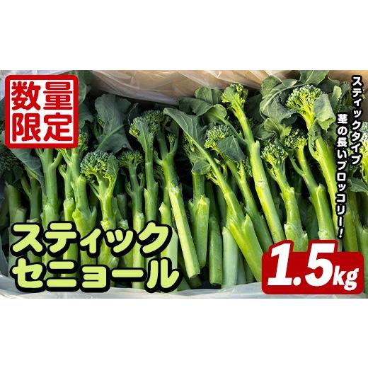 ふるさと納税 野菜類 鹿児島県 阿久根市 先行予約受付中 2026年5月以降順次発送予定 スティックセニョール (1.5kg) 国産 鹿児島県産 阿久根市産 ブロッコリー…