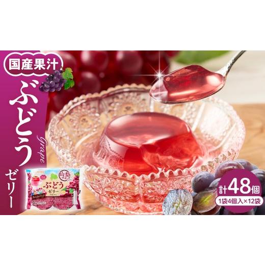 ふるさと納税 菓子 ゼリー 山形県 東根市 ぶどうゼリー 1袋4個入×12袋 和歌山産業提供 山形県 東根市 hi070-014 ぶどう