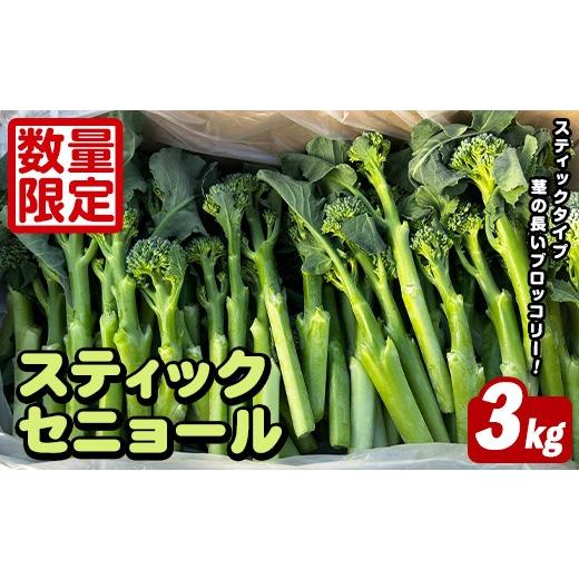ふるさと納税 野菜類 鹿児島県 阿久根市 スティックセニョール (3kg) 国産 鹿児島県産 阿久根市産 ブロッコリー 野菜 サラダ お弁当 ピクニック 産地直送 茎ブ…
