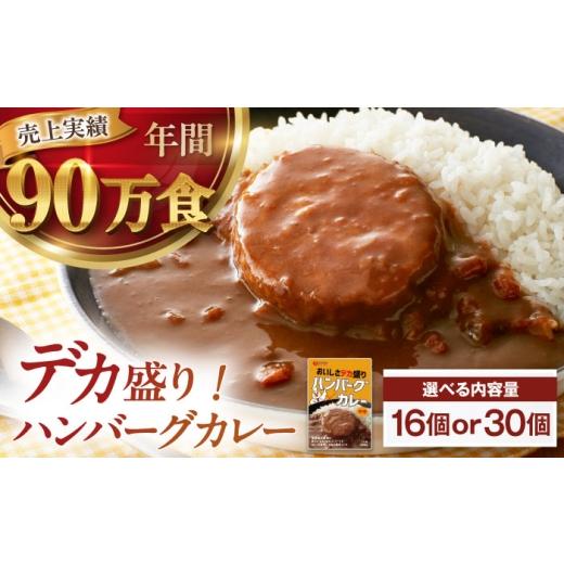 ふるさと納税 加工品等 レトルト 愛媛県 大洲市 ハンバーグカレーセット 16食入り 愛媛県大洲市/トリゼンフーズ株式会社 カレーレトルト カレー ハンバーグ …
