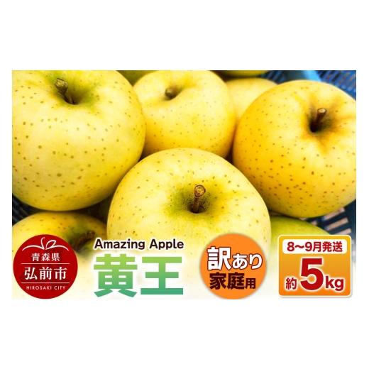 ふるさと納税 りんご 青森県 弘前市 26年8月下旬〜9月発送 りんご 黄王 訳あり 家庭用 約5kg 青森産 りんご 黄王 きおう アップル 林檎 リンゴ 果物 果実 美…