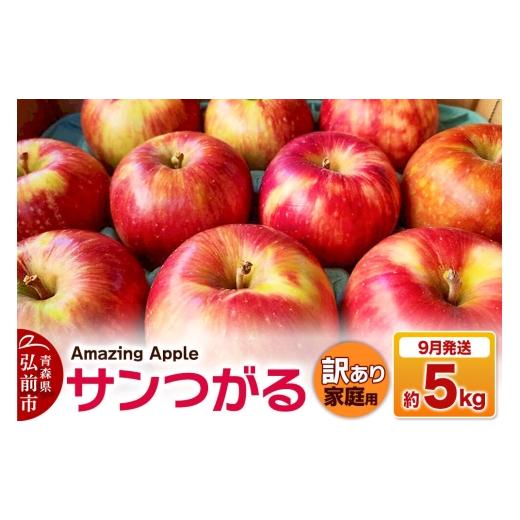 ふるさと納税 りんご 青森県 弘前市 寄附金額見直しました 26年9月発送 りんご サンつがる 訳あり 家庭用 約5kg 青森産 りんご サンつがる アップル 林檎 リ…